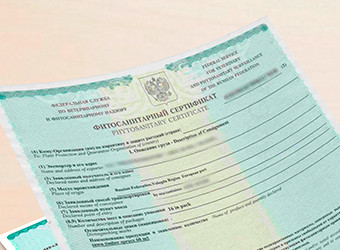 Оформление декларации / сертификата соответствия